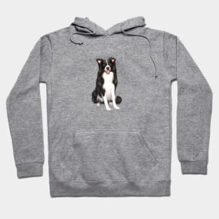 A Happy Border Collie - Just the Dog Hoodie